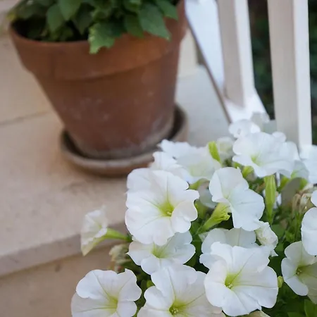 Dubravka مْليني