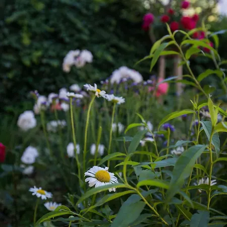 Dubravka Apartamento