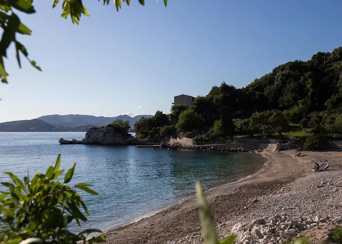 아파트 Dubravka 믈리니